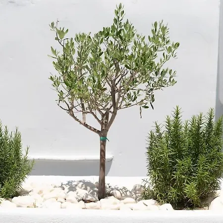 Swell S10 Maisonette With Private Jacuzzi In Apartman Náusza